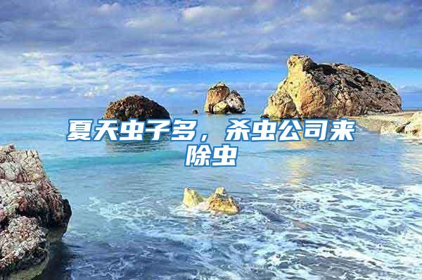 夏天蟲子多，殺蟲公司來除蟲