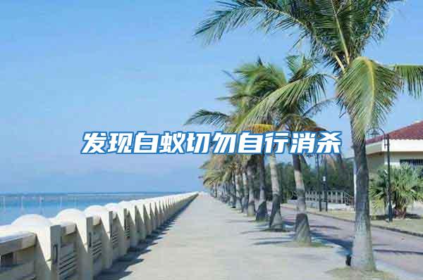 發現白蟻切勿自行消殺