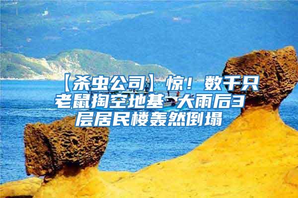 【殺蟲(chóng)公司】驚！數(shù)千只老鼠掏空地基 大雨后3層居民樓轟然倒塌