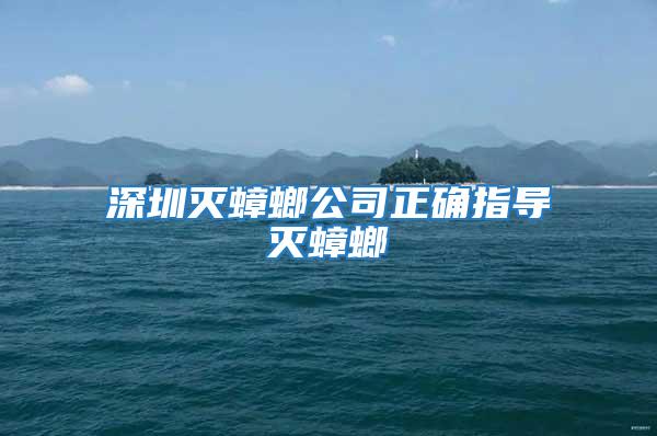 深圳滅蟑螂公司正確指導滅蟑螂