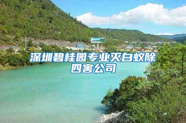 深圳碧桂園專業滅白蟻除四害公司