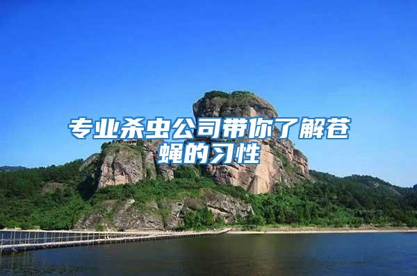 專業(yè)殺蟲公司帶你了解蒼蠅的習(xí)性
