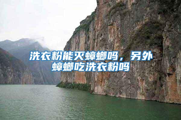 洗衣粉能滅蟑螂嗎，另外蟑螂吃洗衣粉嗎