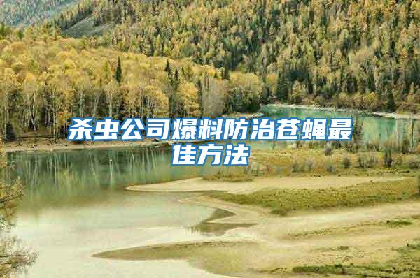 殺蟲公司爆料防治蒼蠅最佳方法