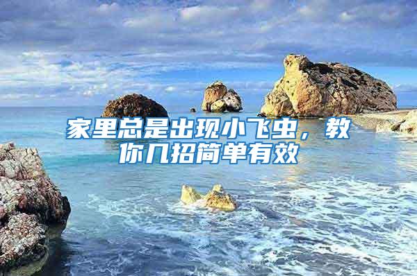 家里總是出現(xiàn)小飛蟲，教你幾招簡(jiǎn)單有效