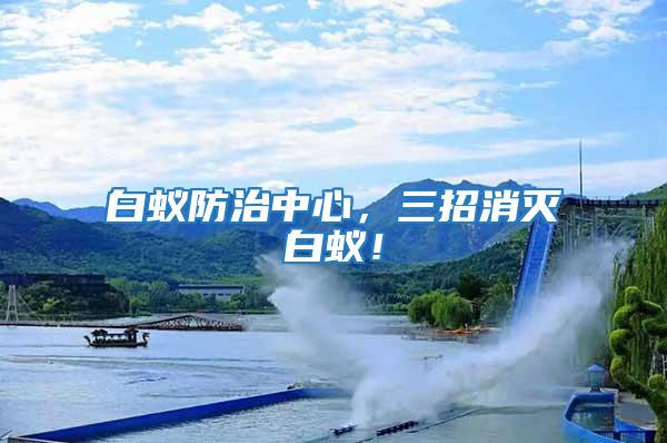 白蟻防治中心，三招消滅白蟻！