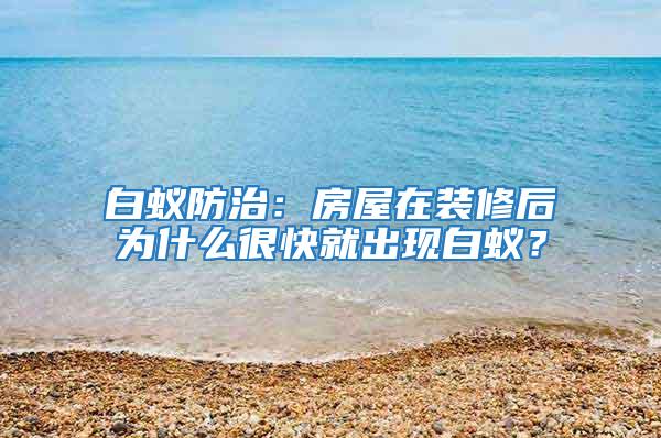 白蟻防治：房屋在裝修后為什么很快就出現白蟻？