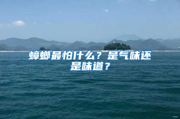 蟑螂最怕什么？是氣味還是味道？