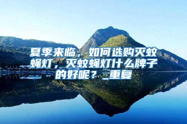 夏季來臨，如何選購滅蚊蠅燈，滅蚊蠅燈什么牌子的好呢？_重復