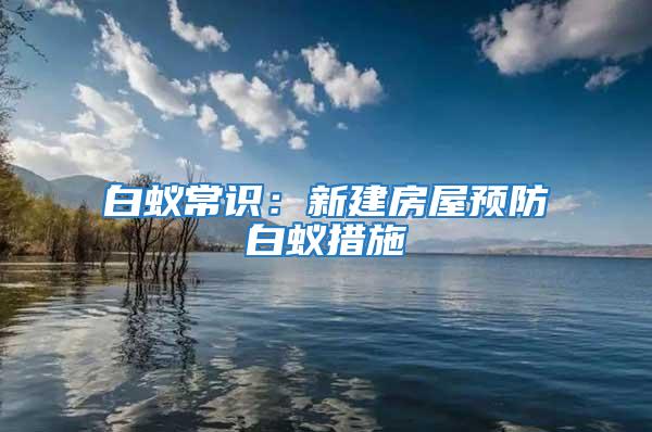 白蟻常識：新建房屋預防白蟻措施