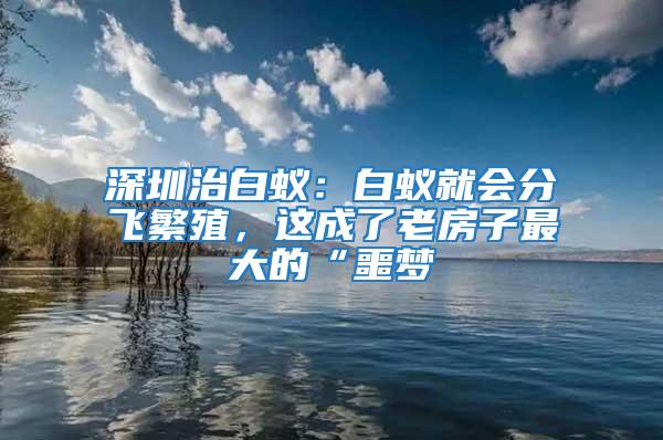 深圳治白蟻：白蟻就會分飛繁殖，這成了老房子最大的“噩夢