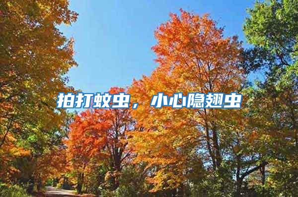 拍打蚊蟲，小心隱翅蟲