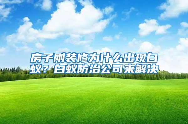 房子剛裝修為什么出現白蟻？白蟻防治公司來解決