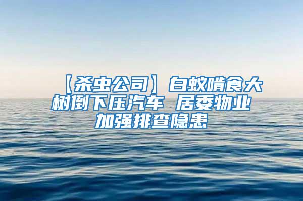 【殺蟲公司】白蟻啃食大樹倒下壓汽車 居委物業加強排查隱患