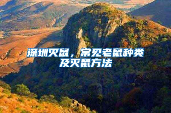 深圳滅鼠，常見老鼠種類及滅鼠方法