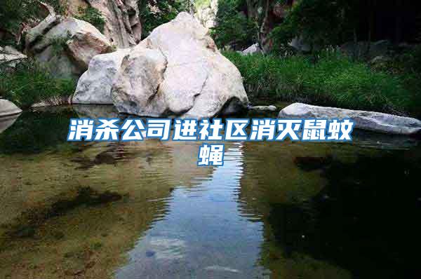 消殺公司進社區消滅鼠蚊蠅
