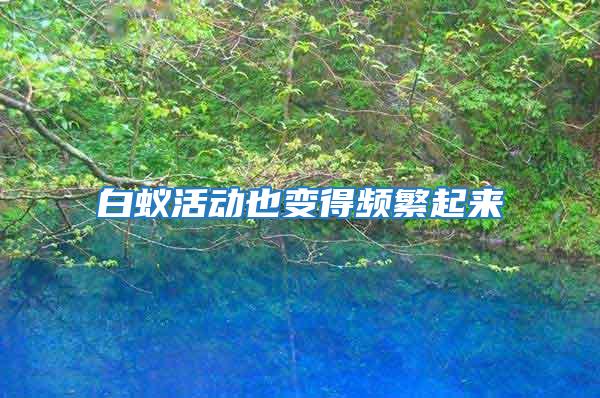 白蟻活動(dòng)也變得頻繁起來