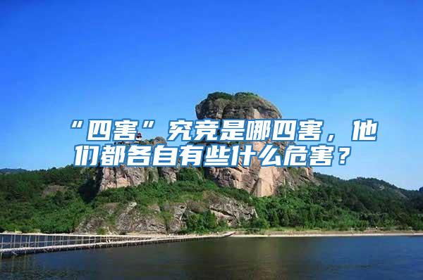 “四害”究競是哪四害，他們都各自有些什么危害？