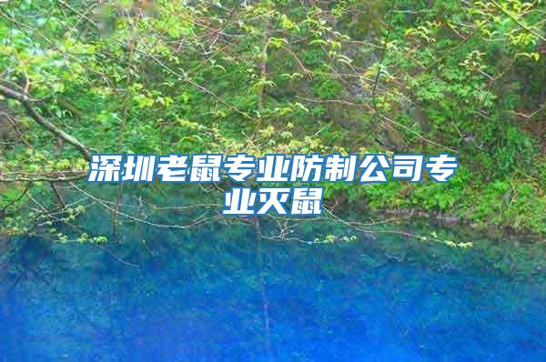 深圳老鼠專業防制公司專業滅鼠