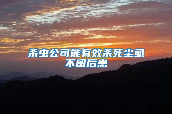 殺蟲公司能有效殺死塵虱不留后患