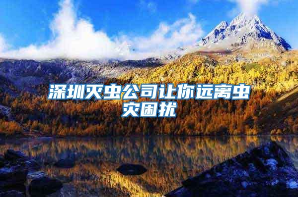 深圳滅蟲公司讓你遠離蟲災困擾