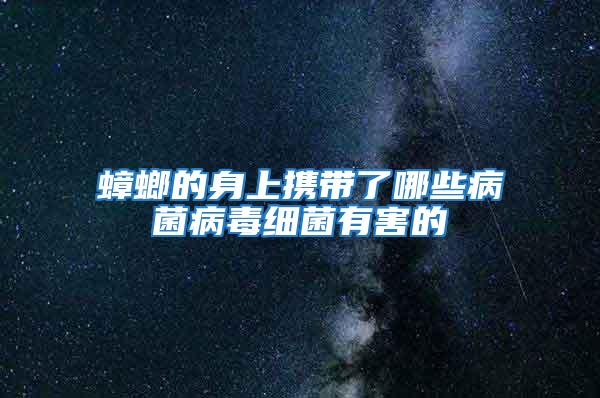 蟑螂的身上攜帶了哪些病菌病毒細菌有害的