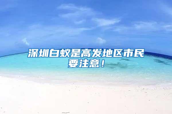 深圳白蟻是高發地區市民要注意！