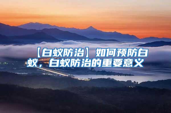 【白蟻防治】如何預防白蟻，白蟻防治的重要意義