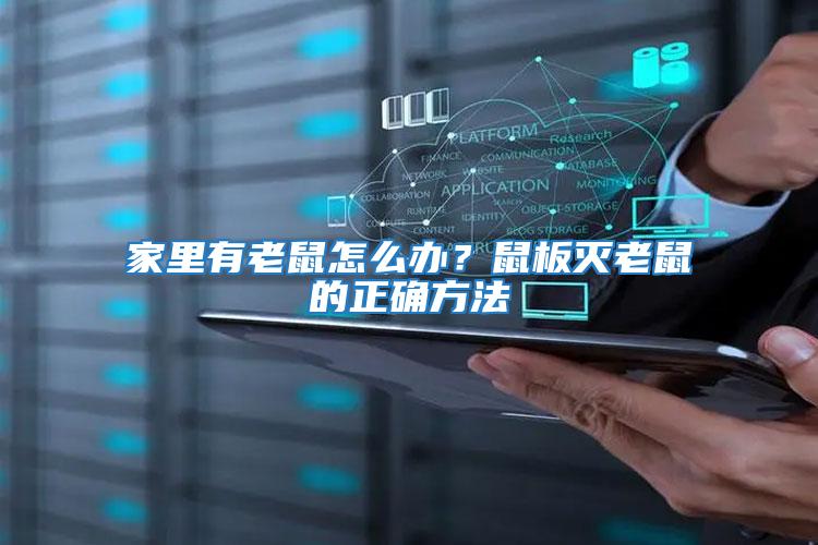 家里有老鼠怎么辦？鼠板滅老鼠的正確方法