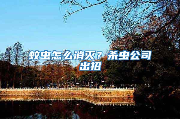 蚊蟲怎么消滅？殺蟲公司出招