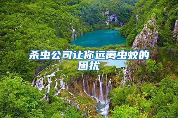 殺蟲公司讓你遠(yuǎn)離蟲蚊的困擾