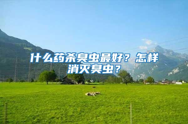 什么藥殺臭蟲最好？怎樣消滅臭蟲？