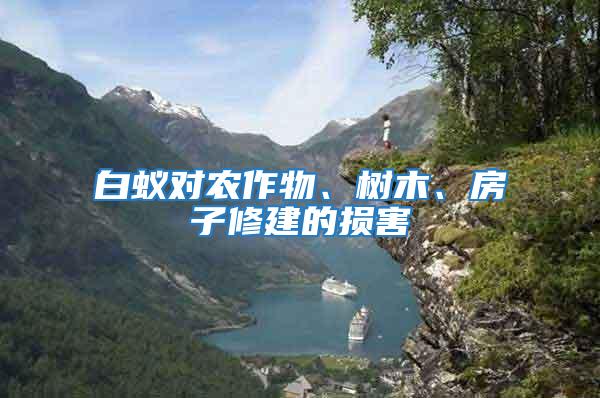 白蟻對農作物、樹木、房子修建的損害