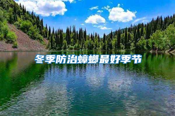 冬季防治蟑螂最好季節