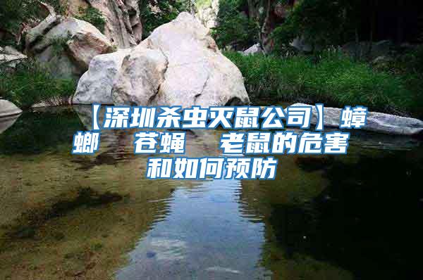 【深圳殺蟲滅鼠公司】蟑螂  蒼蠅  老鼠的危害和如何預防