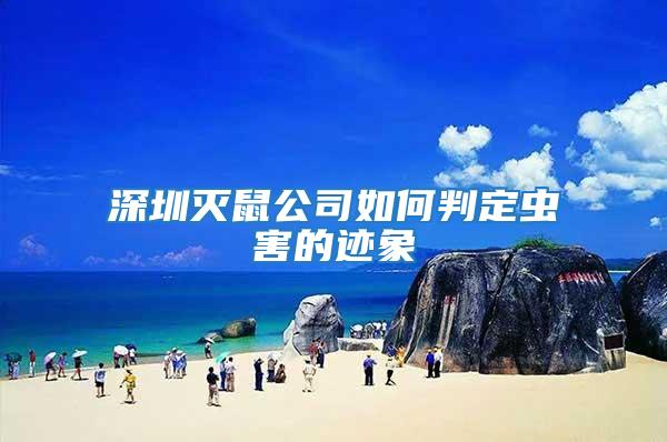 深圳滅鼠公司如何判定蟲害的跡象
