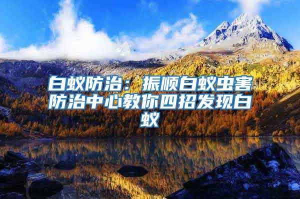 白蟻防治：振順白蟻蟲害防治中心教你四招發現白蟻