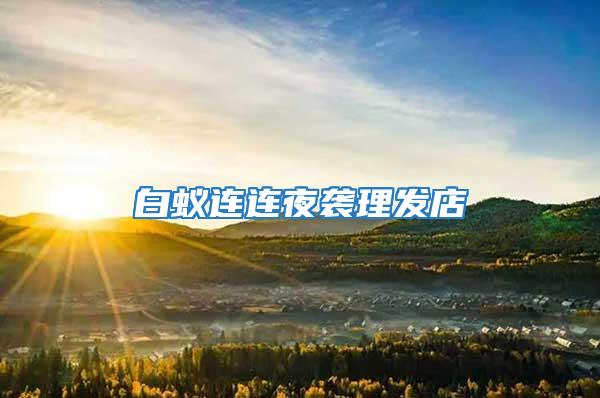 白蟻連連夜襲理發店