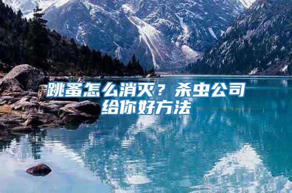 跳蚤怎么消滅？殺蟲公司給你好方法