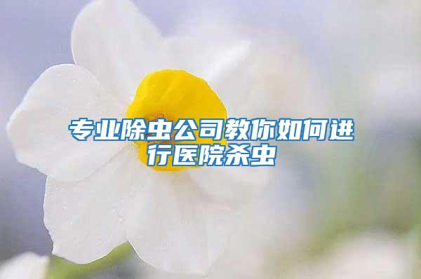 專業(yè)除蟲公司教你如何進(jìn)行醫(yī)院殺蟲