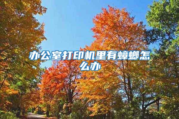 辦公室打印機里有蟑螂怎么辦