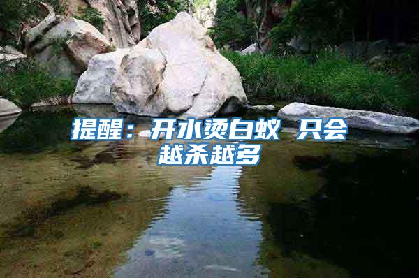 提醒：開水燙白蟻 只會越殺越多