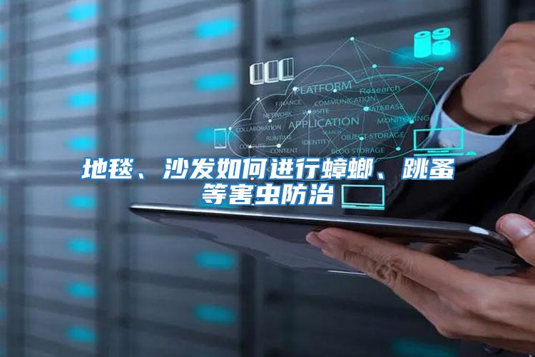 地毯、沙發如何進行蟑螂、跳蚤等害蟲防治
