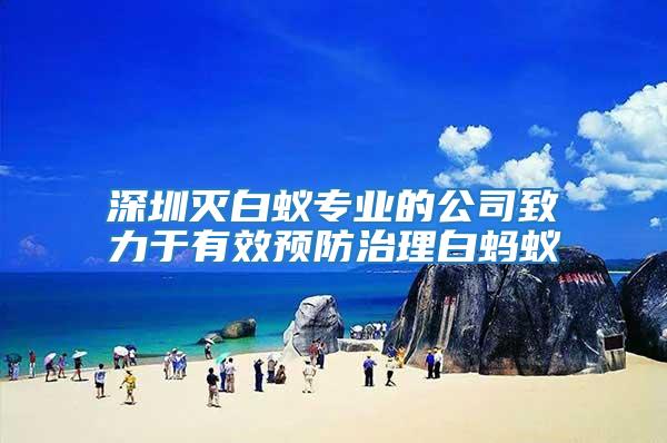 深圳滅白蟻專業的公司致力于有效預防治理白螞蟻