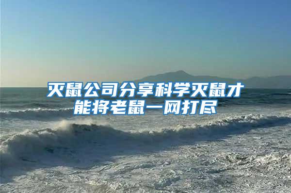 滅鼠公司分享科學(xué)滅鼠才能將老鼠一網(wǎng)打盡