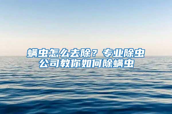 螨蟲怎么去除？專業除蟲公司教你如何除螨蟲