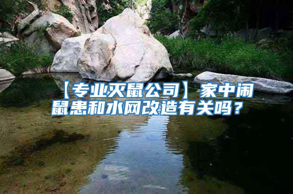 【專業滅鼠公司】家中鬧鼠患和水網改造有關嗎？