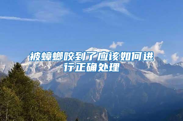被蟑螂咬到了應該如何進行正確處理