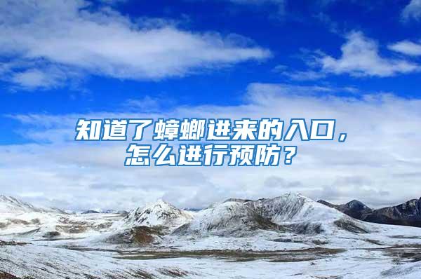 知道了蟑螂進來的入口，怎么進行預防？