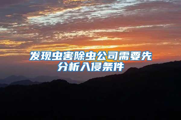 發現蟲害除蟲公司需要先分析入侵條件